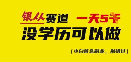 靠银从证书，日入多张，会截图就能做，直接抄答案(附：银从合集)-网创先锋