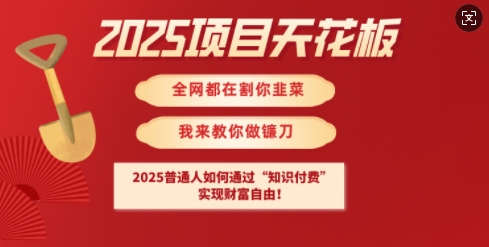 2025项目天花板普通人如何通过知识付费，实现财F自由【揭秘】-网创先锋