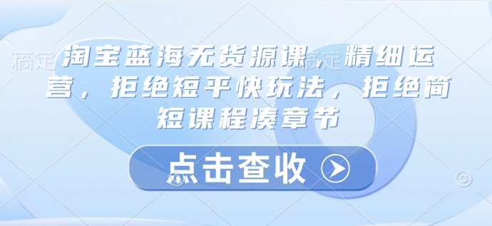 淘宝蓝海无货源课，精细运营，拒绝短平快玩法，拒绝简短课程凑章节-网创先锋