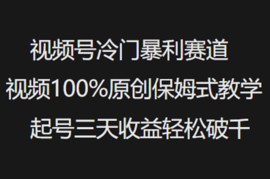 视频号冷门暴利赛道视频100%原创保姆式教学起号三天收益轻松破千-网创先锋