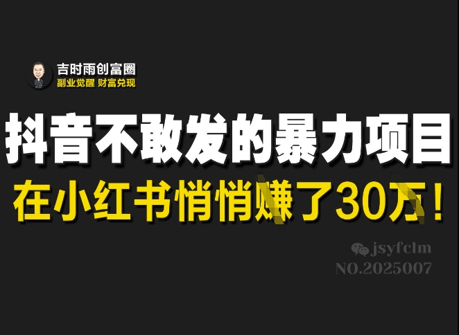 抖音不敢发的暴利项目，在小红书悄悄挣了30W-网创先锋