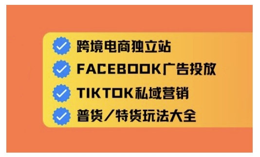 跨境电商独立站及全域流量营销，从0基础快速入门并精通跨境电商运营-网创先锋