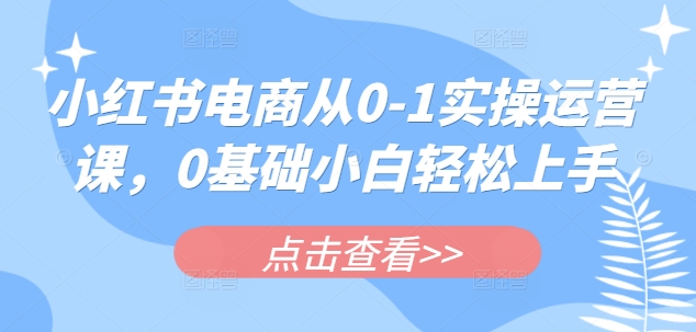 小红书电商从0-1实操运营课，0基础小白轻松上手-网创先锋