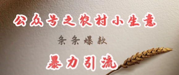 deepseek写农村小项目，条条爆款，暴力引流-网创先锋