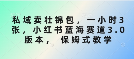 私域卖壮锦包，一小时3张，小红书蓝海赛道3.0版本， 保姆式教学-网创先锋