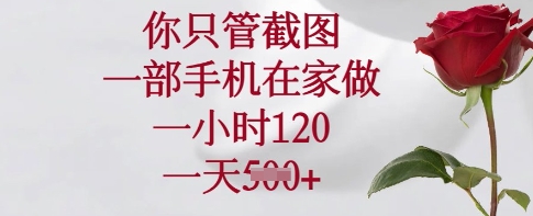 你只管截图，一部手机在家做，一小时120.一天5张【揭秘】-网创先锋