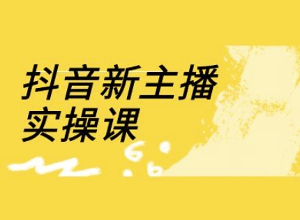 抖音新主播实操课，直播间流量运营线上实操课(18节)-网创先锋