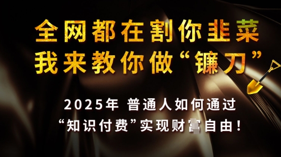 全网都在割你韭菜，我来教你做镰刀，2025普通人如何通过知识付费，实现财F自由【揭秘】-网创先锋