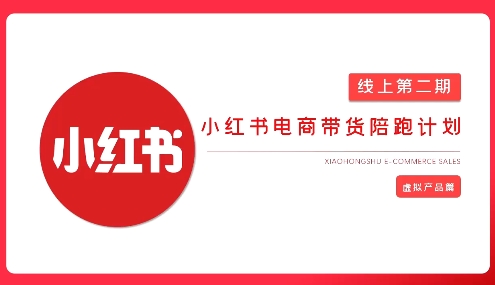 2025小红书虚拟电商实战课，从0到1打造无货源店铺，AI+爆款笔记轻松变现-网创先锋
