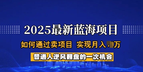 2025蓝海项目，普通人如何通过卖项目，实现月入过W，全过程【揭秘】-网创先锋