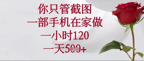 你只管截图，一部手机在家操作，一小时120.一天5张【揭秘】-网创先锋