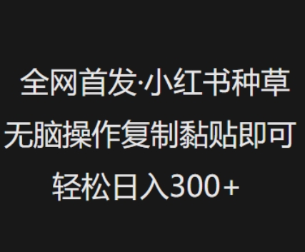 全网首发，小红书种草无脑操作，复制黏贴即可，轻松日入3张-网创先锋