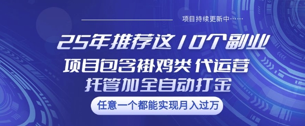 25年推荐这10个副业项目包含褂鸡类、代运营托管类、全自动打金类【揭秘】-网创先锋