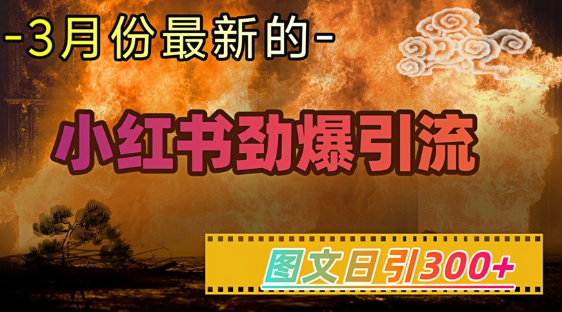 小红书超劲爆引流手段，图文日引300+轻松变现1W-网创先锋