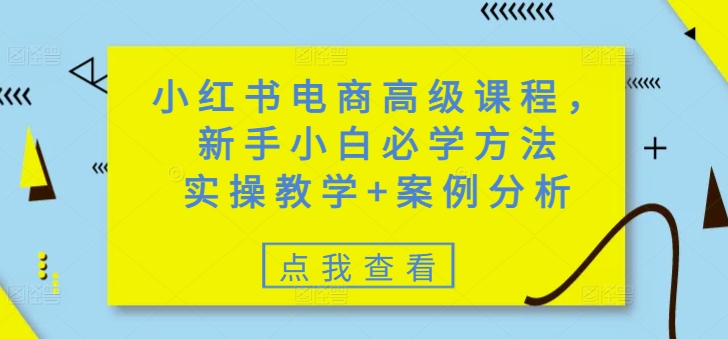 小红书电商高级课程，新手小白必学方法，实操教学+案例分析-网创先锋