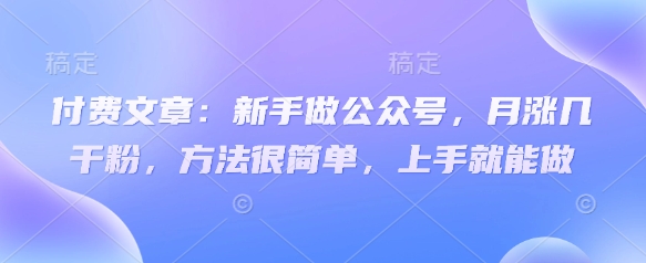 付费文章：新手做公众号，月涨几干粉，方法很简单，上手就能做-网创先锋