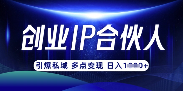 云帆·创业ip合伙人打造3.0，从0到1教你做网创，实现月入过W-网创先锋