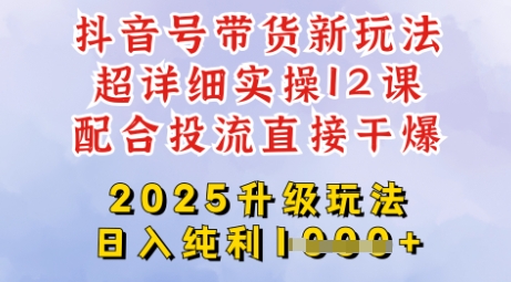 2025全新升级抖音带货玩法，一天纯利四位数，从剪辑到选品再到发布投流，超详细玩法揭秘-网创先锋