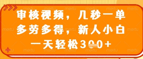 审核视频，几秒一单，多劳多得，新人小白一天轻松3张【揭秘】-网创先锋