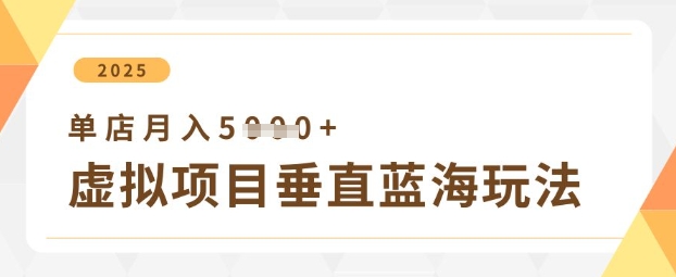 虚拟项目垂直玩法，实现单店月入5k+-网创先锋