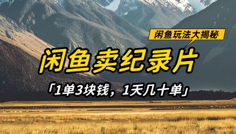 闲鱼卖纪录片1单3块钱，1天几十单，项目稳定有潜力-网创先锋