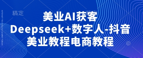 美业AI获客Deepseek+数字人-抖音美业教程电商教程-网创先锋