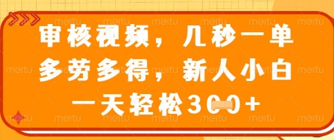 最新审核视频，几秒一单，多劳多得，新人小白一天轻松3张【揭秘】-网创先锋