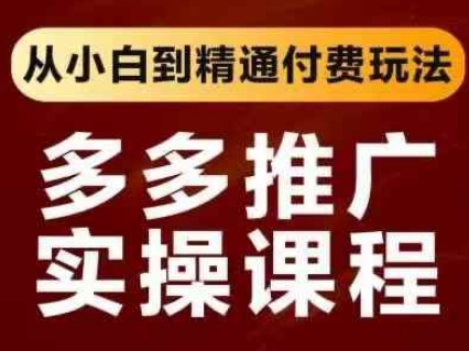 拼多多推广实操课程，从小白到精通付费玩法-网创先锋
