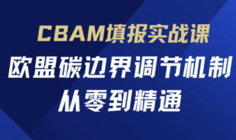 CBAM填报实战课，欧盟碳边界调节机制，从零到精通-网创先锋