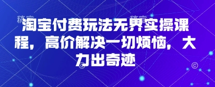 淘宝付费玩法无界实操课程，高价解决一切烦恼，大力出奇迹-网创先锋