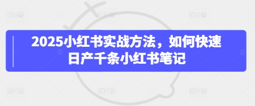 2025小红书实战方法，如何快速日产千条小红书笔记-网创先锋