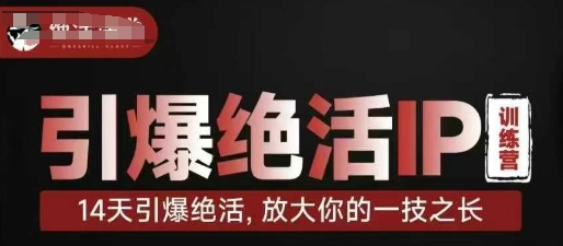 引爆绝活IP训练营，14天引爆绝活，放大你的一技之长-网创先锋