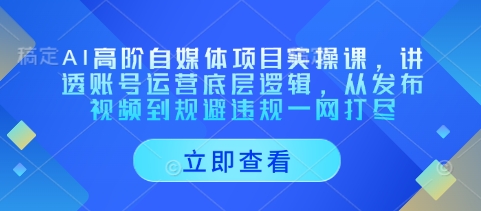 AI高阶自媒体项目实操课，讲透账号运营底层逻辑，从发布视频到规避违规一网打尽-网创先锋