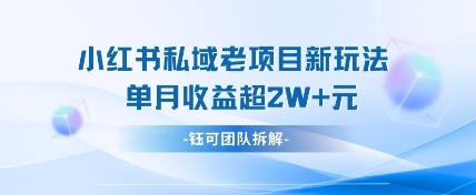 小红书私域项目新玩法，单月变现过W+-网创先锋