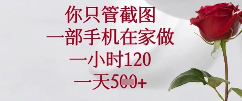 你只管截图，一部手机在家做，苹果安卓都可以，一小时120，一天5张+【揭秘】-网创先锋