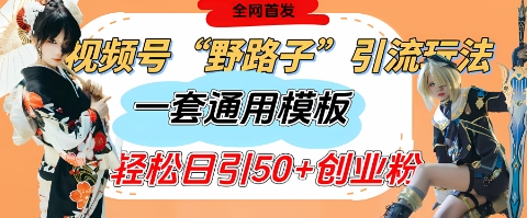 视频号“野路子”玩法，评论区疯狂截流，一套模板单日单号引流50+创业粉-网创先锋