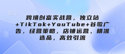 跨境创富实战营，独立站+TikTok+YouTube+谷歌广告，经营策略，店铺运营，精准选品，高效引流-网创先锋