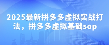 2025最新拼多多虚拟实战打法，拼多多虚拟基础sop-网创先锋