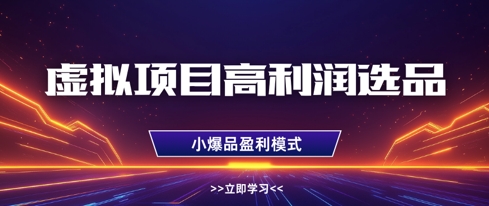 虚拟项目高利润选品方法，做好单店利润1W+，可多店倍增利润-网创先锋