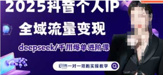 2025个人IP短视频带货(进阶版)全域流量变现，deepseek千川爆单进阶课-网创先锋