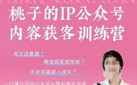 桃子IP公众号内容获客训练营(第3期)，一门让你公众号从0到商业闭环的课程-网创先锋