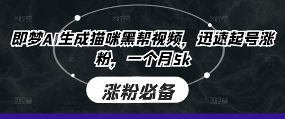 即梦AI生成猫咪黑帮视频，迅速起号涨粉，一个月5k-网创先锋