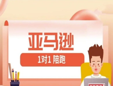 亚马逊1对1陪跑课(FBA/FBM精铺)跨境亚马逊教程-网创先锋