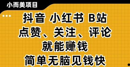 小而美的项目，抖音小红书B站视频点赞、关注、评论就能挣钱，简单无脑立见收益，妥妥的零撸项目【揭秘】-网创先锋
