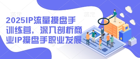 2025IP流量操盘手训练营，深入剖析商业IP操盘手职业发展-网创先锋