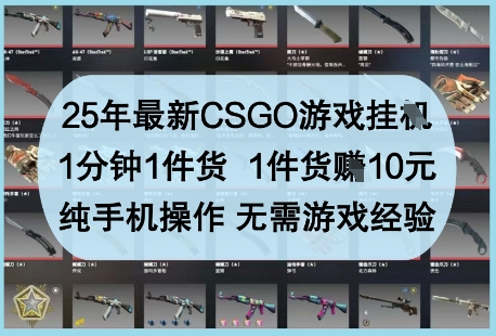 25年最新CSGO游戏挂G，1分钟1件货，1件货挣10元，纯手机操作，无需游戏经验【揭秘】-网创先锋