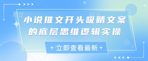 小说推文开头吸睛文案的底层思维逻辑实操-网创先锋