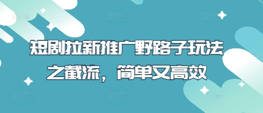 短剧拉新推广野路子玩法之截流，简单又高效-网创先锋