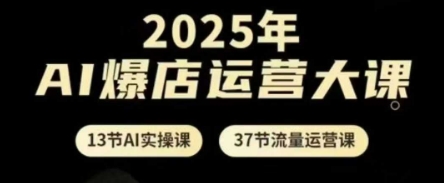 2025年AI爆店运营大课，13节AI实操课+37节流量运营课-网创先锋