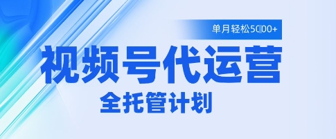 视频号代运营2.0，全程托管招募，单月轻松变现5k【揭秘】-网创先锋